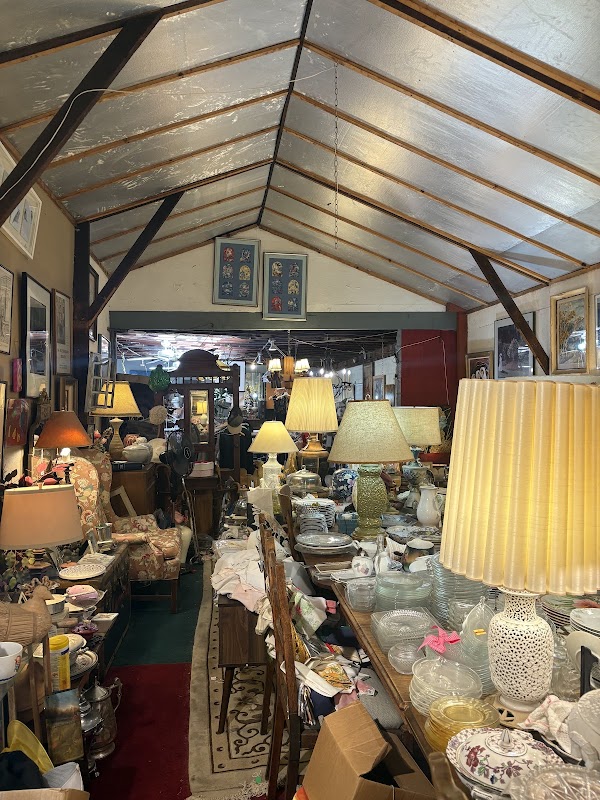 Guy On Motor At Venice