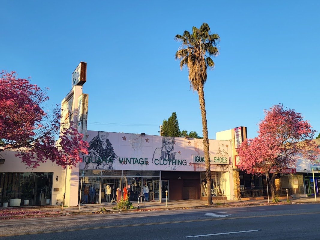 Iguana Vintage Clothing