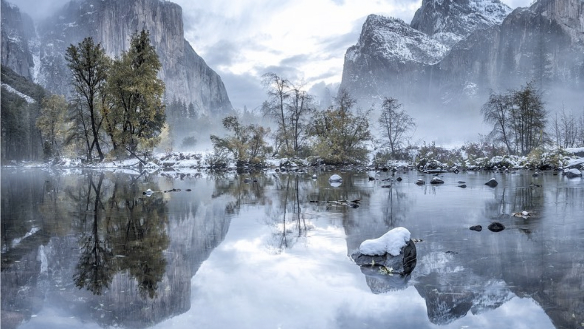 Jill Sanders Gallery