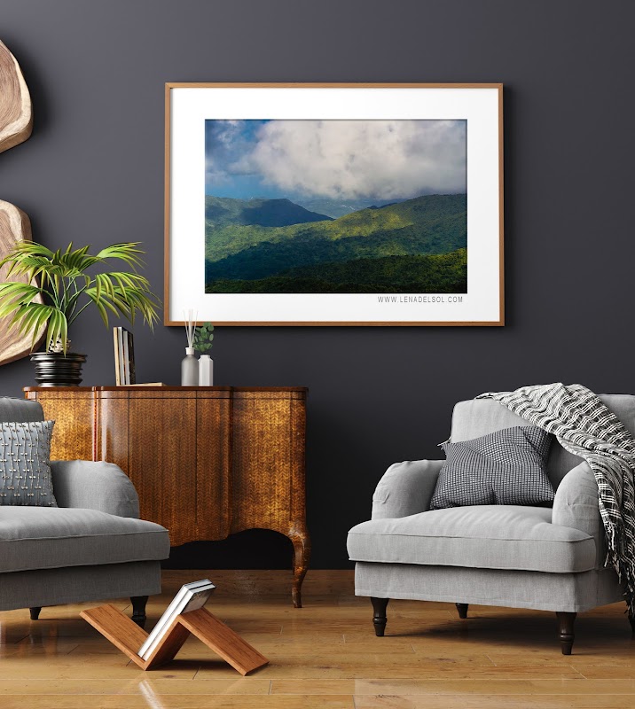 Lena del Sol Fine Art